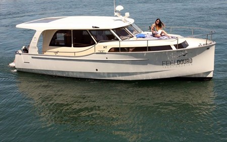 Greenline 33 Rosé turismo paseos Francia vacaciones barco lancha a motor chalana gamarra