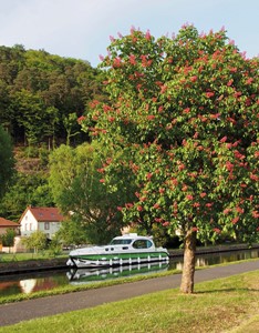 Nicols Sixto Green turismo paseos Francia vacaciones barco lancha a motor chalana gamarra