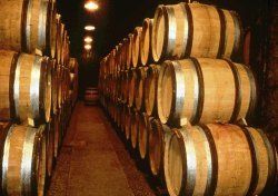 Rangée de tonneaux de chêne dans une cave traditionnelle de Bourgogne. Tourisme fluvial et bons vins vont souvent de pair