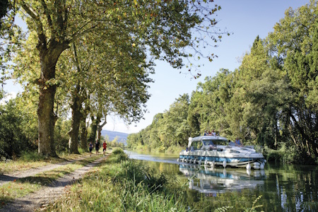 Le Canal du Midi, les arbres et le chemin de halage qui le bordent tout le long. Une fois votre bateau sans permis amarré, vous pourrez aller faire de belles balades.