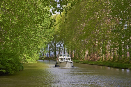 Les fameux platanes du Canal du Midi. Ils vous procureront de l'ombre pour profiter de la terrasse de votre bateau sans permis.